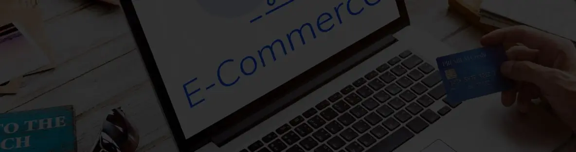 B2C Ecommerce Development
